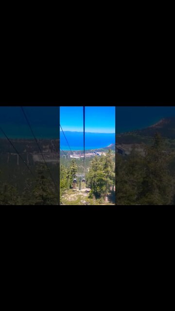 Stunning Gondola Ride in Lake Tahoe #shorts