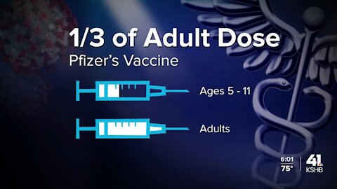 Answering questions about the COVID-19 vaccine in children