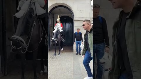 Man and his dog poses with the Horse Guard #horseguardsparade