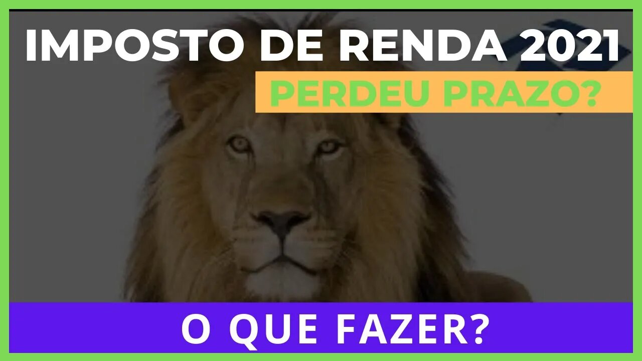 IMPOSTO DE RENDA 2021| PERDEU O PRAZO O QUE FAZER?