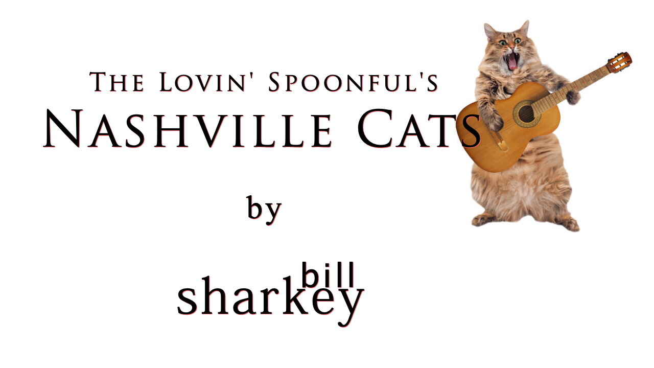 Nashville Cats - The Lovin' Spoonful (cover-live by Bill Sharkey)