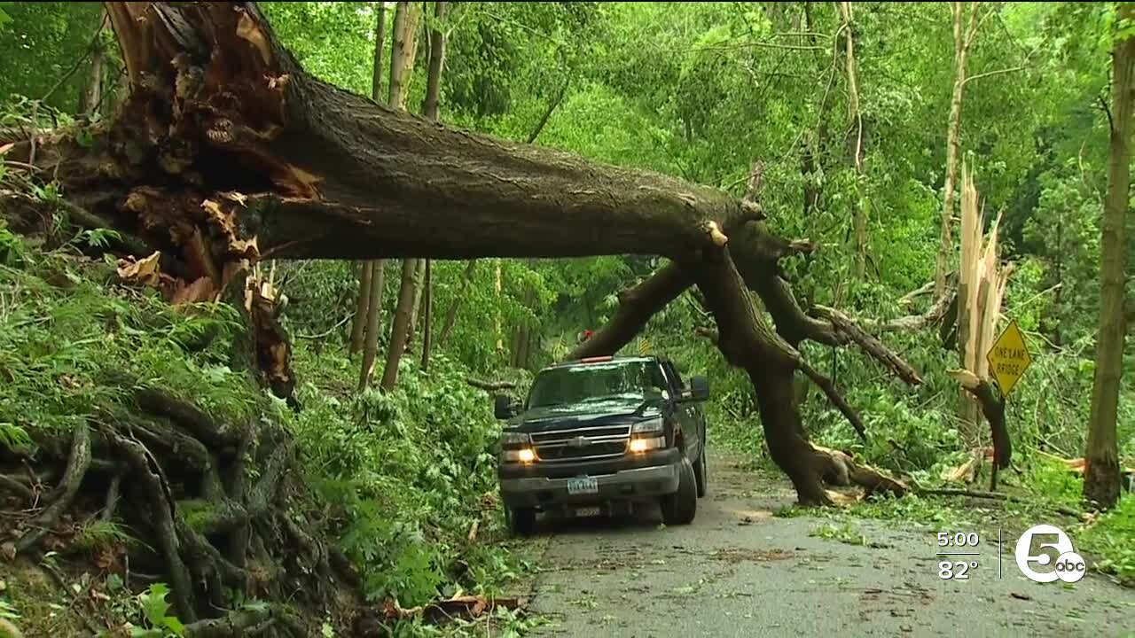 'It was just so windy and so violent' — Storm rips off roof, topples trees in Holmes County