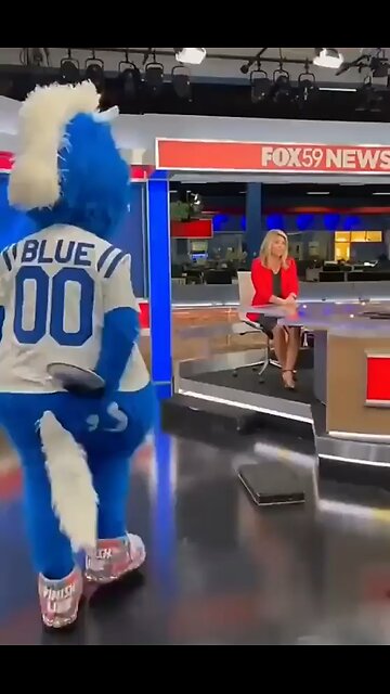 Indianapolis Colts Mascot 🧸