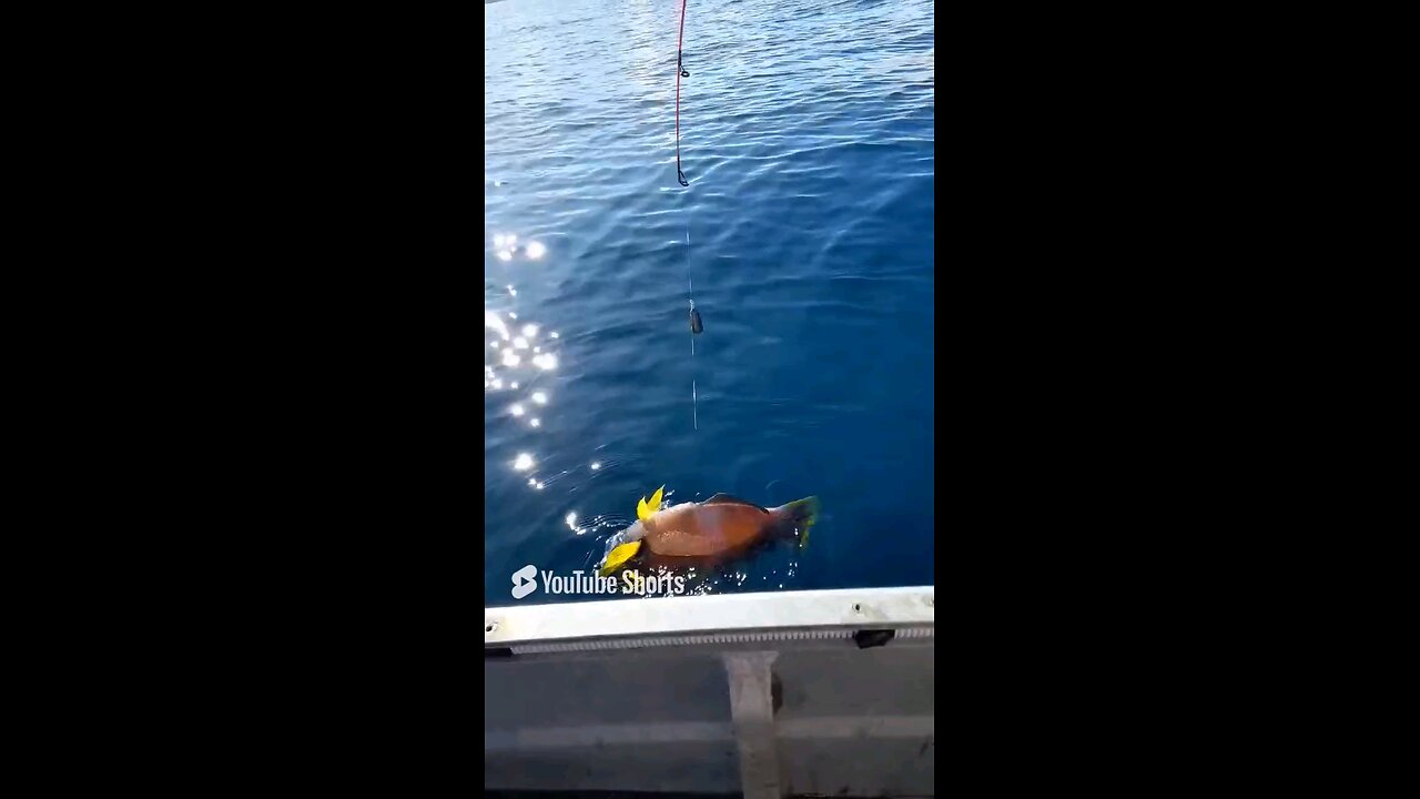 fish caught in the worst way