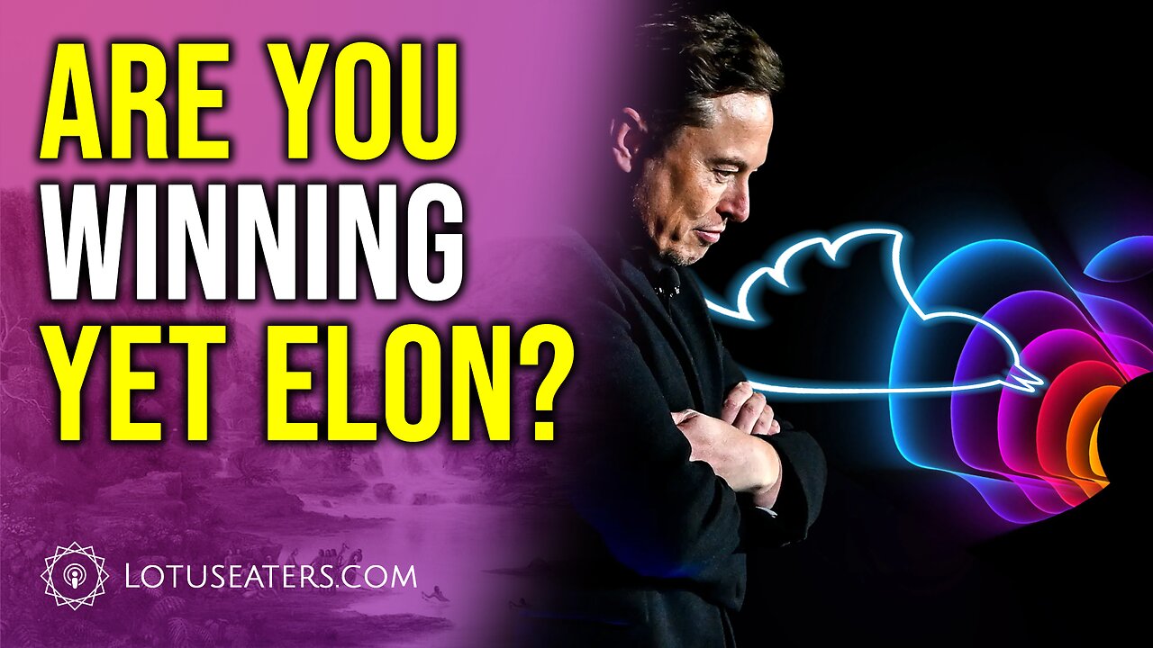 Are you winning yet Elon