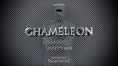 Chameleon (Unseen Mix)