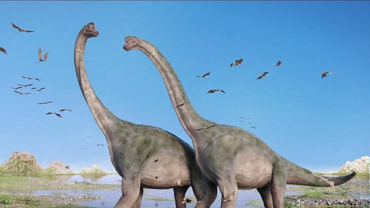 Animal amazing dinosaurs