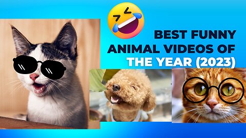 Best Funny Animal Videos of the year (2023), funniest animals ever. relax with cute animals video