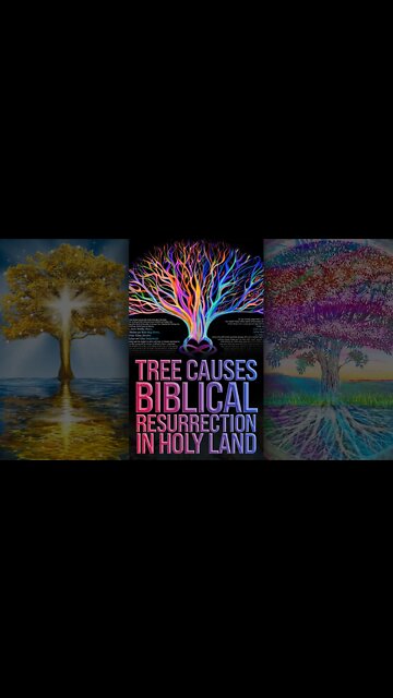 Trees Leads Biblical Resurrection in Holy Land 🌴 #shorts