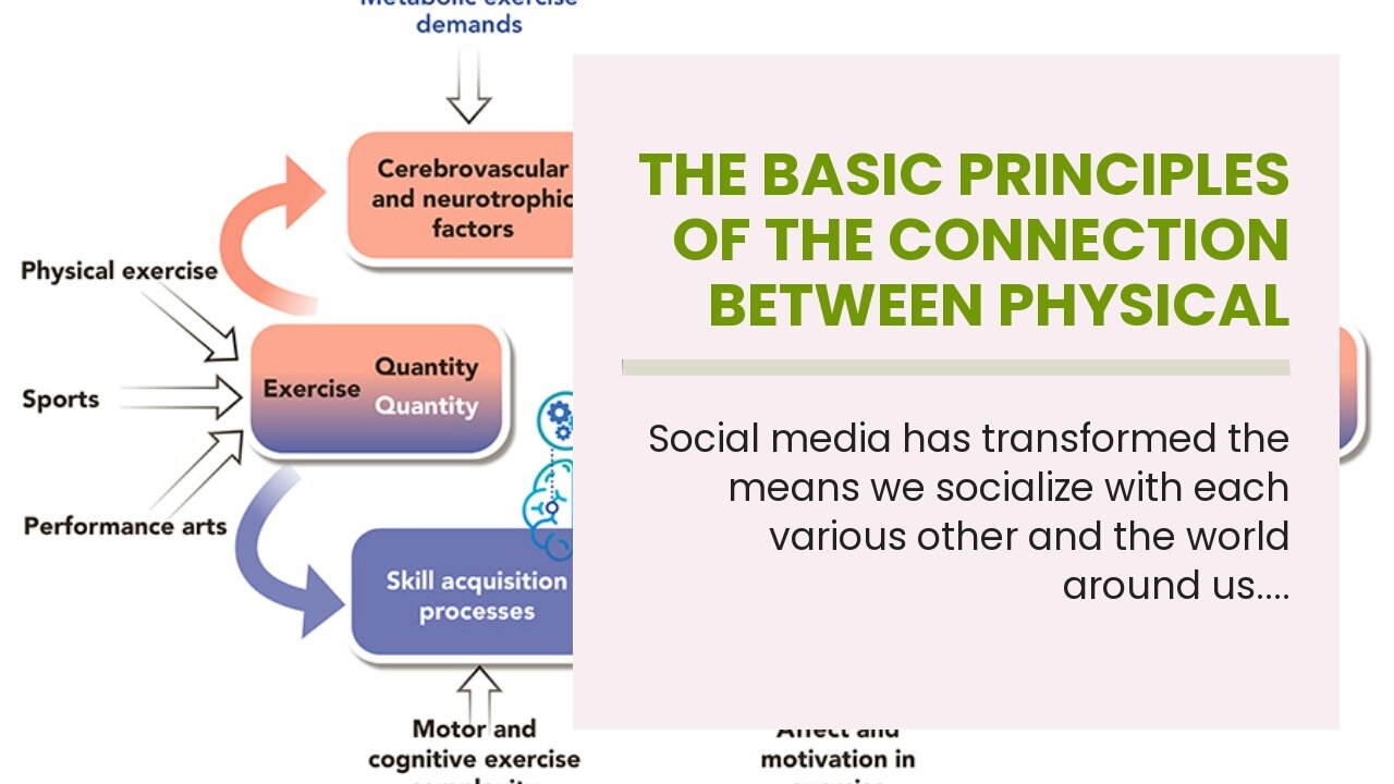 The Basic Principles Of The Connection Between Physical Fitness and Mental Health