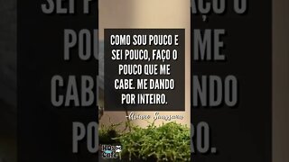 Frase do Ariano Suassuna