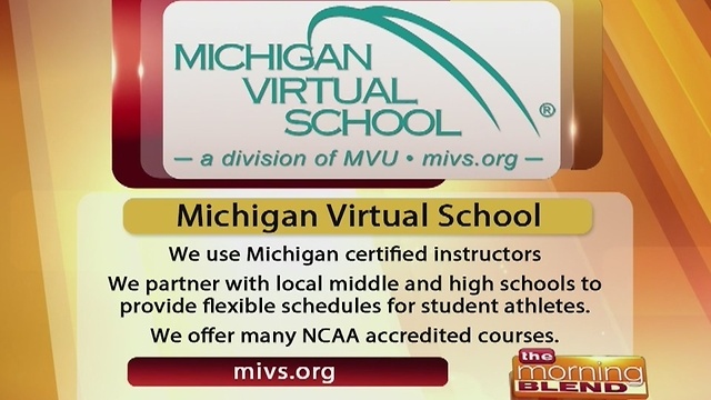 Michigan Virtual School - 1/11/17