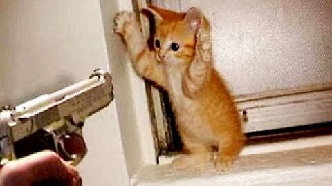 😸😸😸😸😸😸😸😸