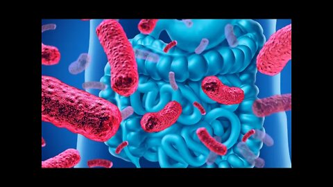 장내세균혁명, 데이비드 펄머터, 미생물과함께태어남, 무균쥐, 태아, 산모 자궁, 제왕절개, 면역계, 알츠하이머, 유익균, 발효식품, 비만, 정신질환, 식욕, 자폐증, 프로바이오틱스