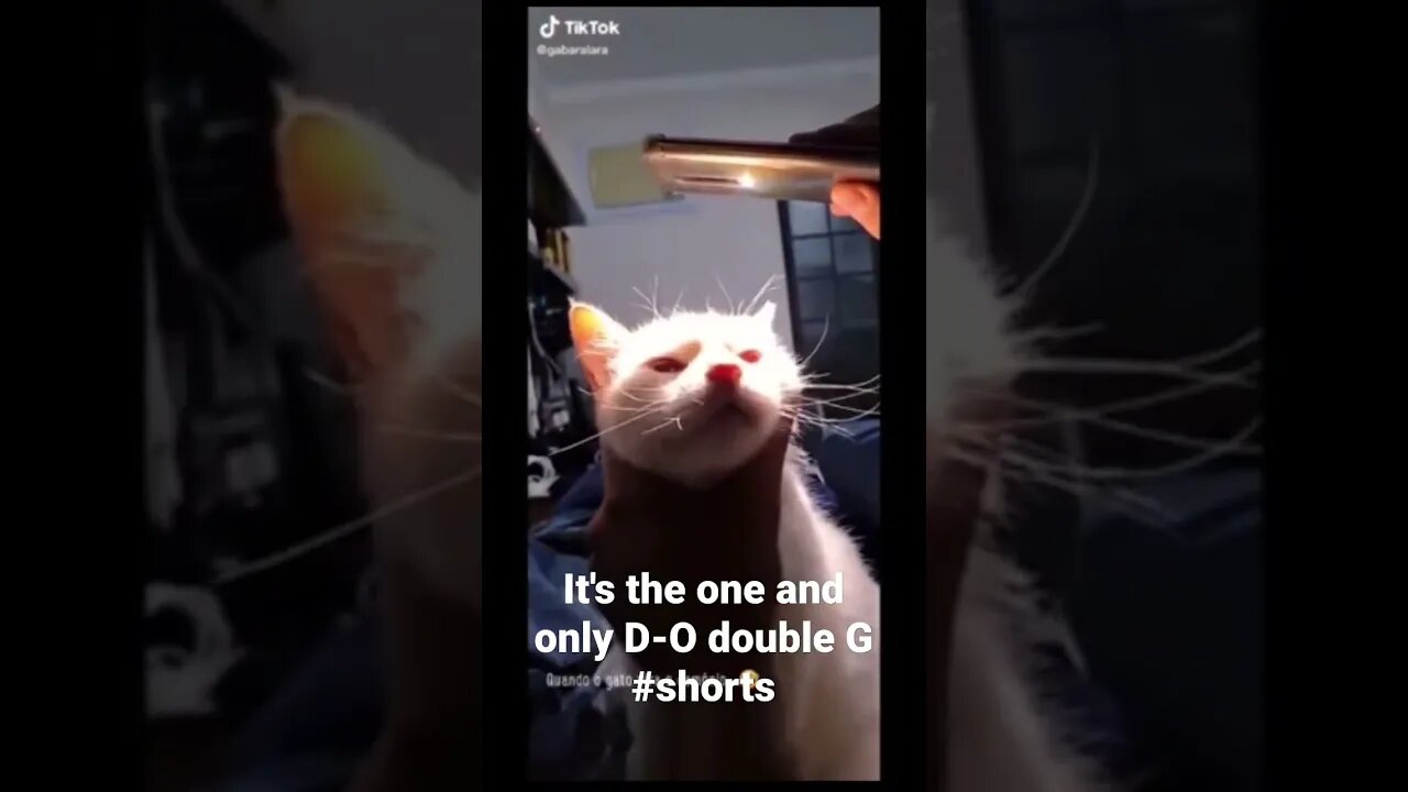 It's the one and only D-O double G #shorts