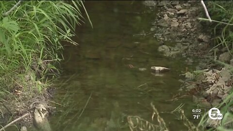 DeWine weighs on whether or not to ease how Ohio ephemeral streams are regulated