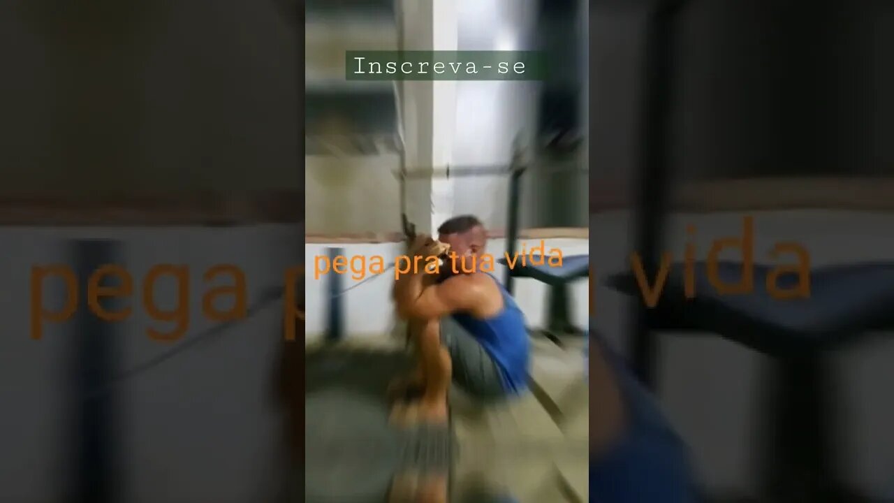 Sou o que sou