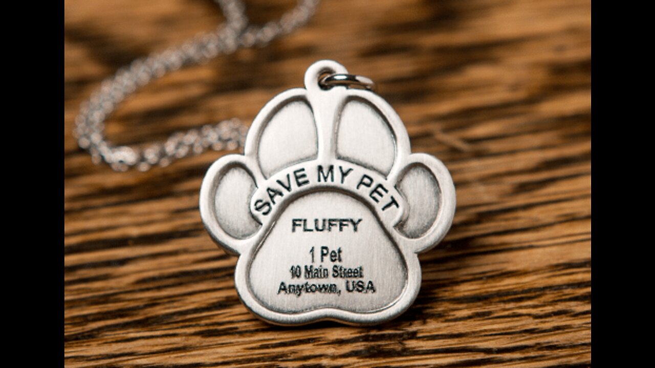 Zinzie Pie Save My Pet ID Tag For Humans & Pet First Aid