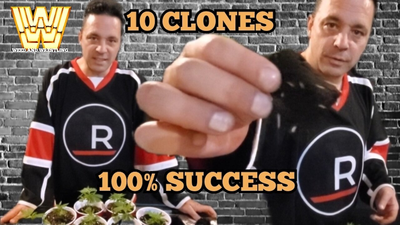 Growing Cannabis: 100% Success! | Cloning 10 Northern Lights 5 Marijuana Plants | Weed And Wrestling