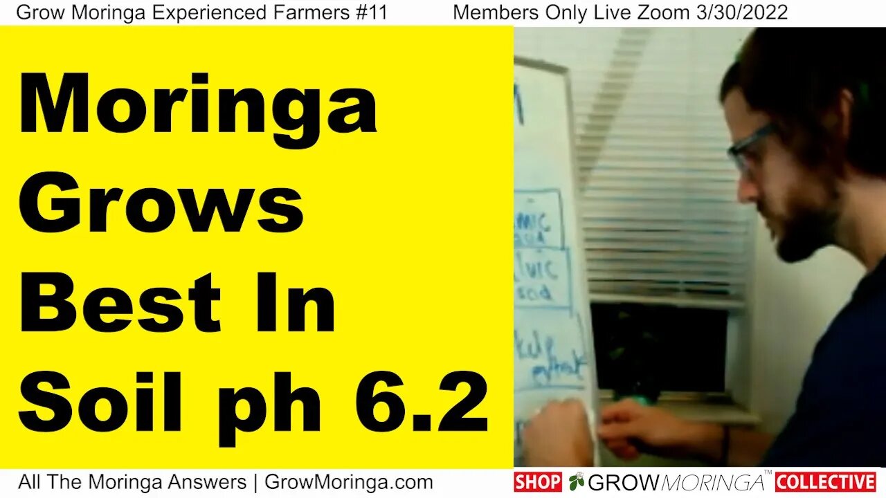 Moringa Grows Best In Soil ph 6.2