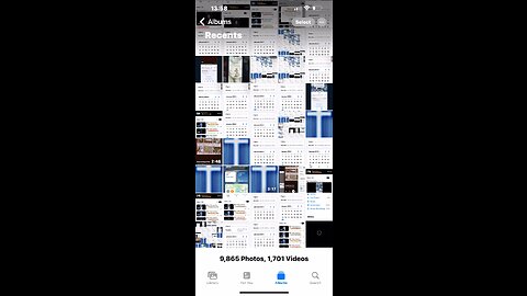 🎼🦁👀👀👀👀👀🦁🎼