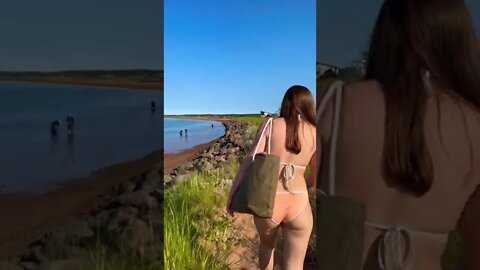 A path that bypasses the beach