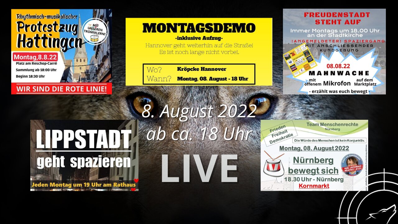 🍺🍺 LIVE aus fünf Städten - Hattingen, Nürnberg, Hannover, Freudenstadt und Lippstadt am 08.08.2022