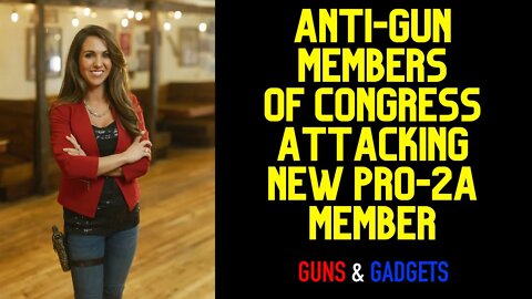 Anti Gun Congress Members Attack New Pro Gun Member