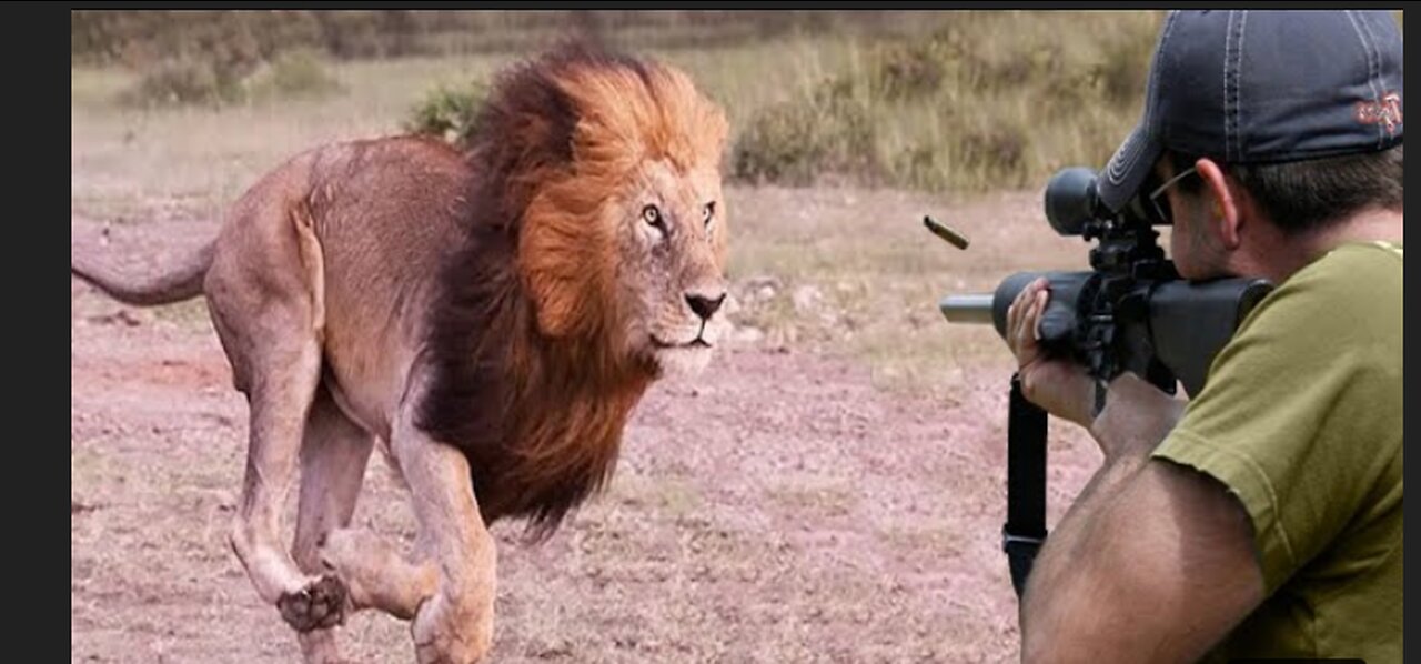 Critical moments between the hunter and the prey, part one