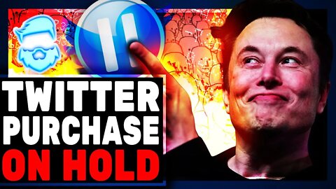 Elon Musk HALTS Twitter Purchase & Chaos ERUPTS! Twitter Stock Tanks & Leftists Celebrate!