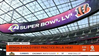Bengals hold Super Bowl practice, deal with heat wave