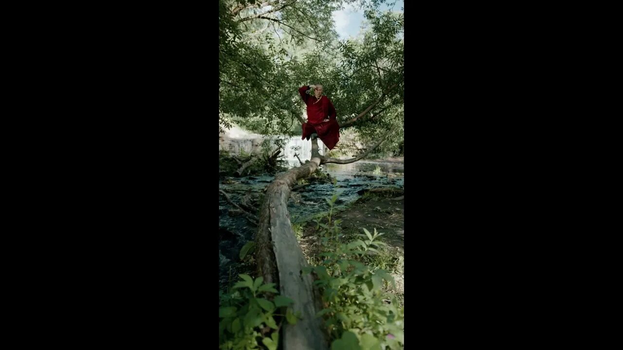 meditation monk in the trees