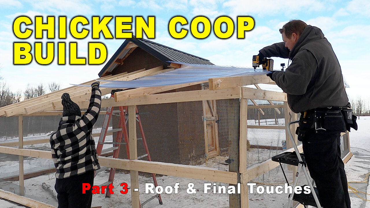 Chicken Coop Build Part 3 - Roofing & Final Touches