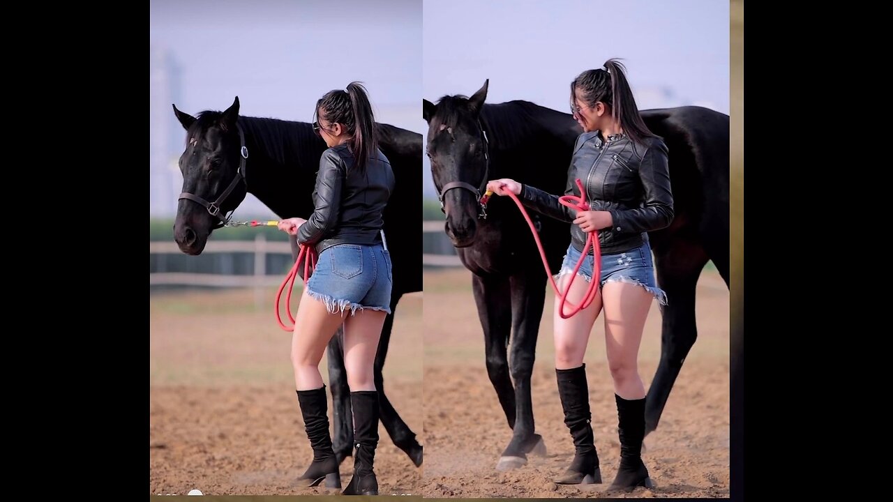 Black vs black ☺️ || Both of cute || Funny vdios