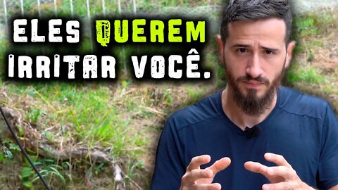 Por que você se IRRITA com opiniões diferentes? - Sobre Viver