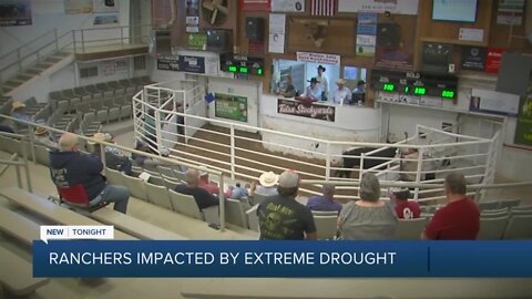 Ranchers Impacted By Extreme Drought