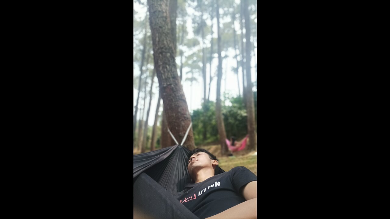 Daily Vlog Picnic To Pinus Forest