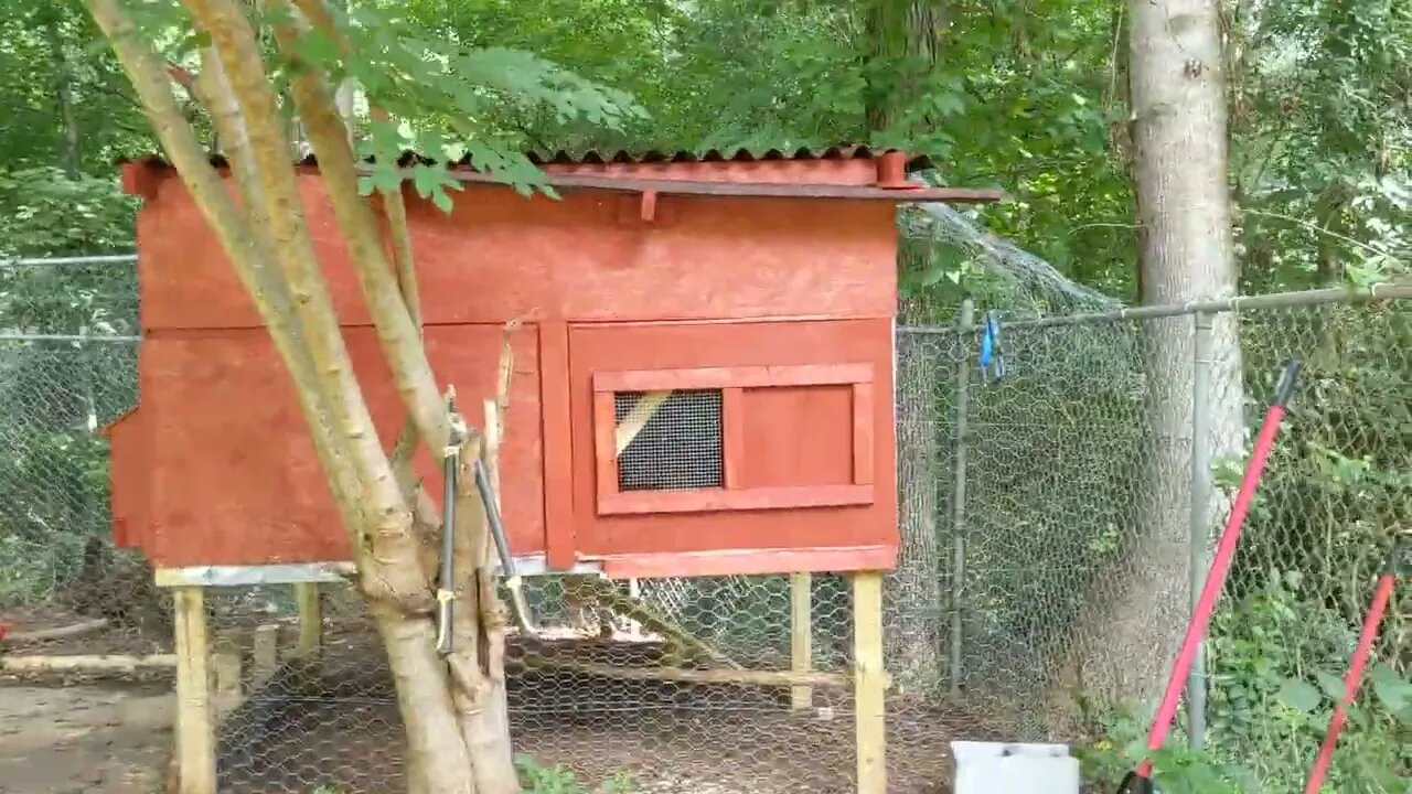 Tinkering on the Coop, paint, gutters and a new door