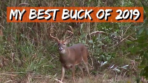 Big South Georgia Buck!