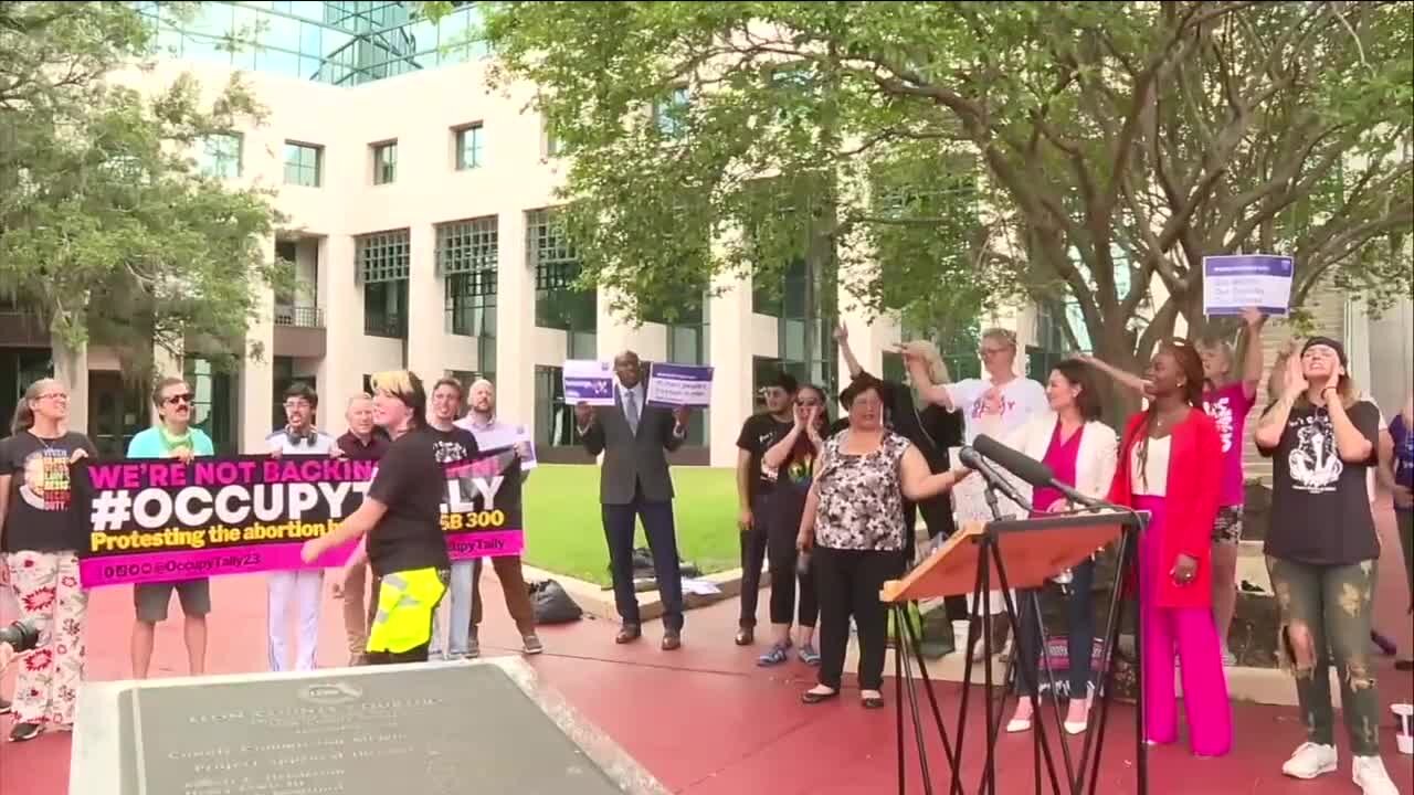 FL Democrats Nikki Fried, Lauren Book arrested after protesting abortion ban