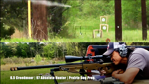 6.5 Creedmoor 97 Absolute Hunter 3550 FPS PDog Prep.