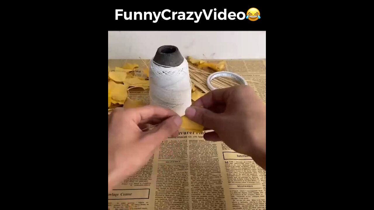 Mr FunnyCrazyVideo😂 Just Incredible Video Funny and Crazy #Like Follow for Follow 🥰