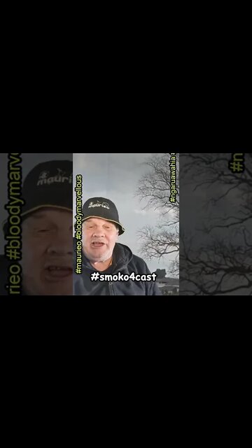 #maurieo #shorts #smoko4cast