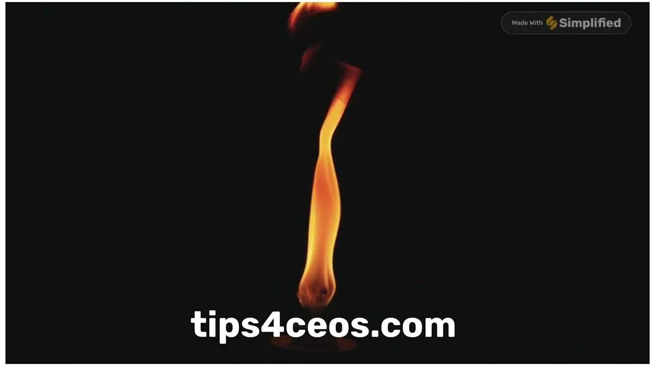 tips4ceos.com logo 2024