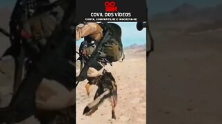 cachorro pulando de paraquedas 😲😲😲