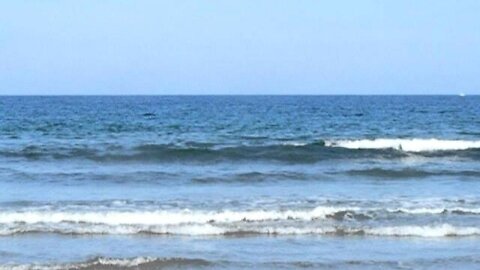 For Those made crazy by Breitbart.AVI