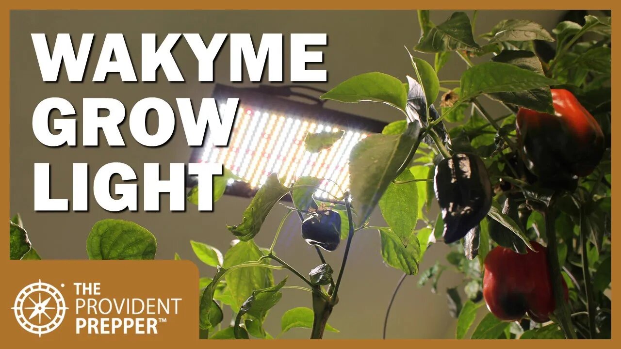 Wakyme J-1000W LED Grow Light Review