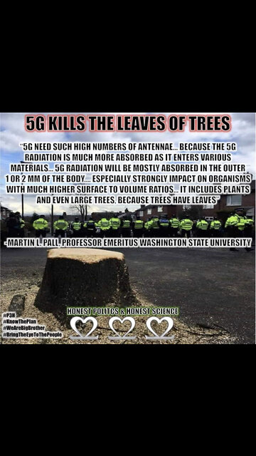 Tree removal near new five gee tower in Sammamish, Washington