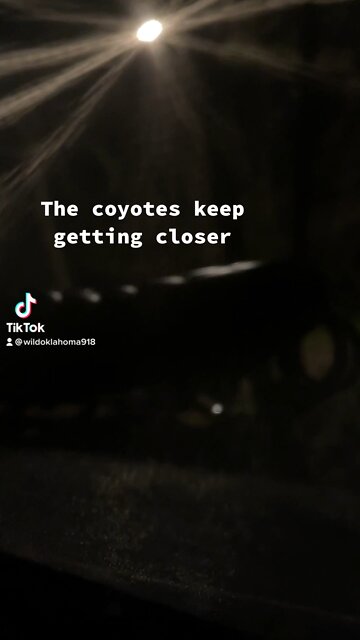 Coyotes kept coming closer