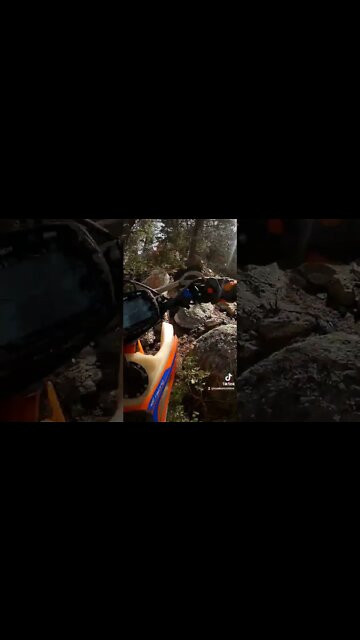 Rocking the Rock Garden